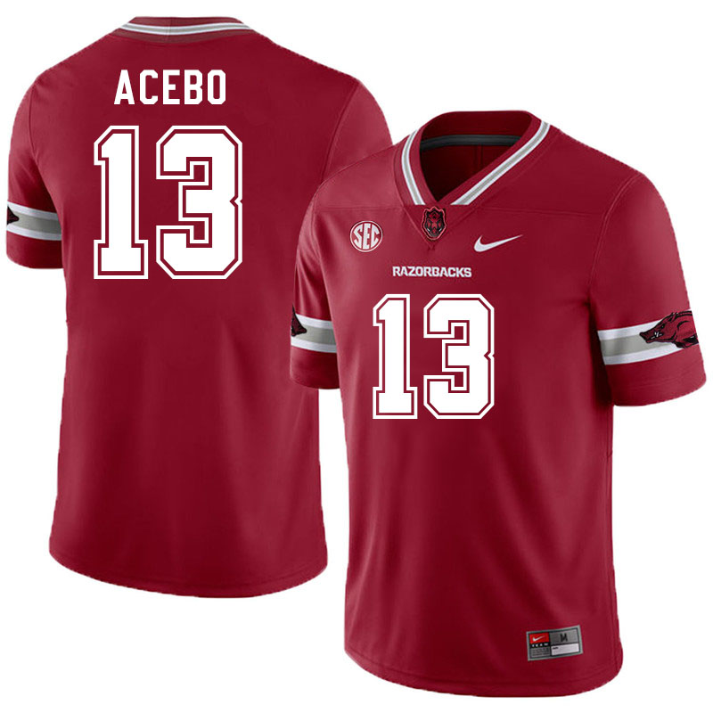 Men #13 Rykar Acebo Arkansas Razorbacks College Football Jerseys Stitched-Alternate Cardinal